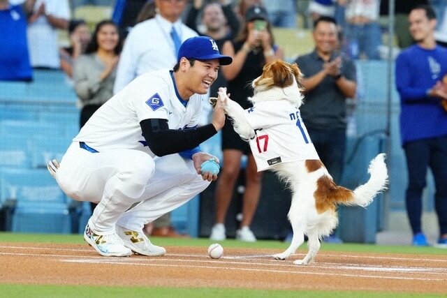 大谷翔平　犬　デコピン